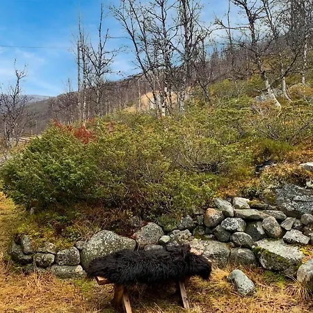 Beautiful In With Kitchen * Uvdal