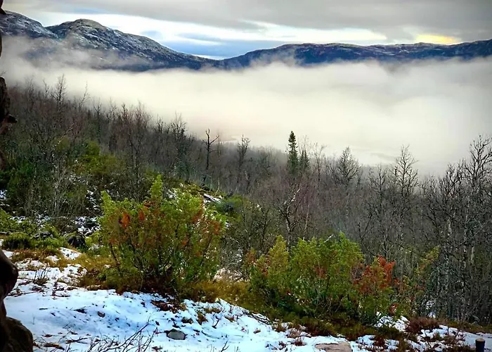 Beautiful In With Kitchen